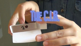 The C.I.B by Chiara Dalpasso