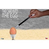 The Card Into The Egg by Alan