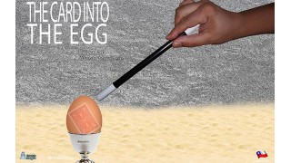 The Card Into The Egg by Alan