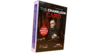 The Chameleon Card 2 by Dominique Duvivier