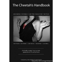 The Cheetah's Handbook (1-2) by Andi Gladwin