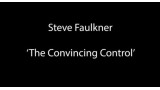 The Convincing Control by Steve Faulkner