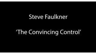 The Convincing Control by Steve Faulkner