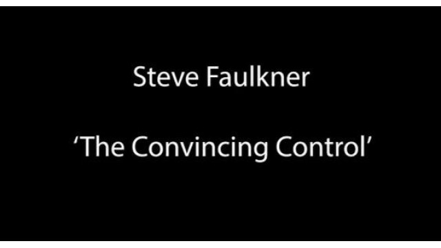 The Convincing Control by Steve Faulkner