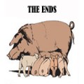 The Ends by Nathan Kranzo The Ends by Nathan Kranzo