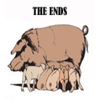 The Ends by Nathan Kranzo