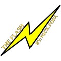 The Flash by Nick Popa The Flash by Nick Popa