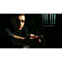 The Fly by Marcos Waldemar