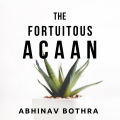 The Fortuitous Acaan by Abhinav Bothra The Fortuitous Acaan by Abhinav Bothra