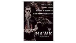 The Hawk by Alexander Kolle