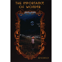 The Importance Of Wonder by Ben Robinson
