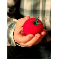 The Incredible Growing Sponge Tomato by Under Magic