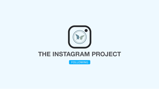 The Instagram Project by Sansminds
