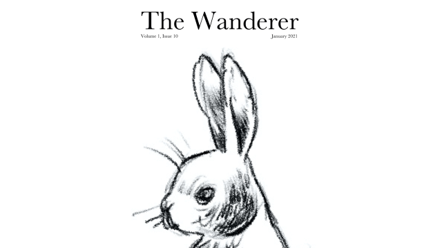 The Jerx - January 2021 - The Wanderer 1 Issue 10 by Andy