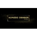 The Komodo Dragon by Esya G The Komodo Dragon by Esya G