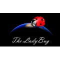 The Ladybug by Hugo Valenzuela The Ladybug by Hugo Valenzuela