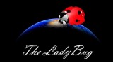 The Ladybug by Hugo Valenzuela