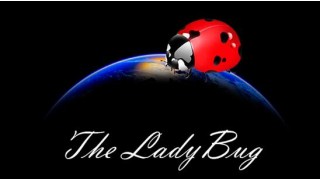 The Ladybug by Hugo Valenzuela