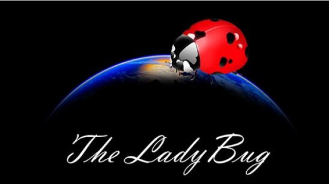 The Ladybug by Hugo Valenzuela