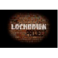 The Lockdown Project by Ian Hamilton The Lockdown Project by Ian Hamilton