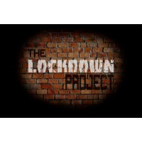 The Lockdown Project by Ian Hamilton