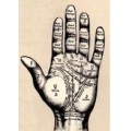 The Magician's Guide To Palm Reading by Paul Voodini The Magician's Guide To Palm Reading by Paul Voodini