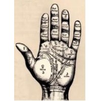 The Magician's Guide To Palm Reading by Paul Voodini