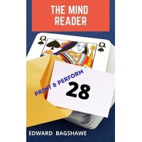 The Mind Reader by Edward Bagshawe