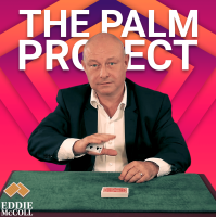 The Palm Project by Eddie Mccoll