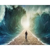 The Parting by Art Vanderlay