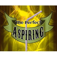 The Perfect Aspiring by Daniel Raley