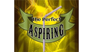 The Perfect Aspiring by Daniel Raley