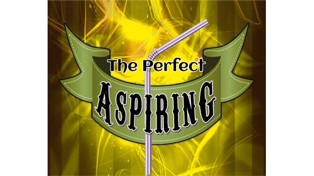 The Perfect Aspiring by Daniel Raley