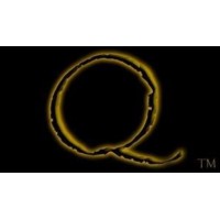 The Quantum Connection by Cosmo Solano
