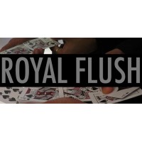 The Royal Flash by Vivek Singhi