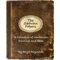 The Safwan Papers by Bryn Reynolds