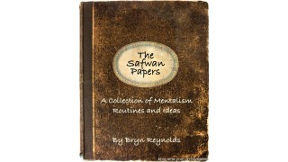 The Safwan Papers by Bryn Reynolds