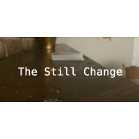 The Still Change by Cid