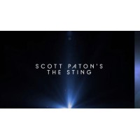 The Sting by Scott Paton