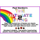 The Ultimate Sting Version 2 by Paul Gordon