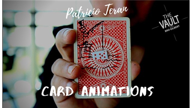 The Vault - Card Animations by Patricio Teran