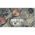 The Vault - Fugitive Coins by David Roth The Vault - Fugitive Coins by David Roth