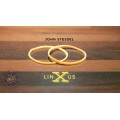 The Vault - Linxus by John Stessel The Vault - Linxus by John Stessel