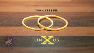 The Vault - Linxus by John Stessel