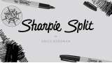 The Vault - Sharpie Split by Brice Bergman