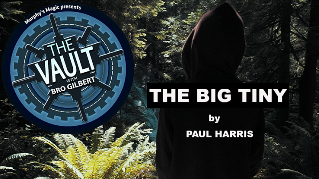 The Vault - The Big Tiny by Paul Harris