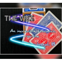 The Vice by Joseph B