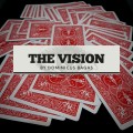 The Vision by Dominicus Bagas The Vision by Dominicus Bagas