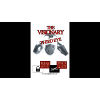 The Visionary 3.0 by Stephen Young
