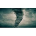 The Whirlwind by Ngoc Tu The Whirlwind by Ngoc Tu